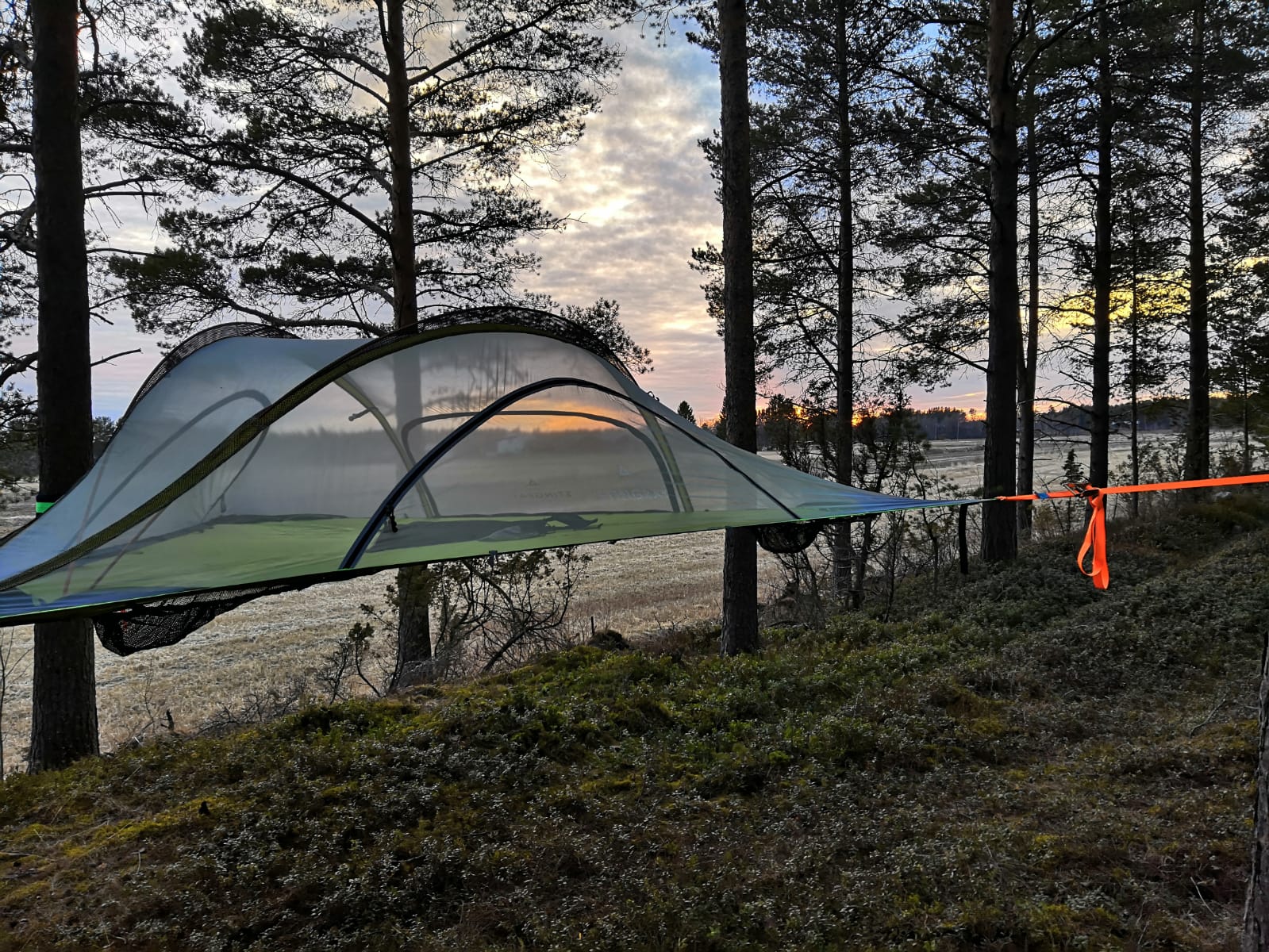 TentsileMajoitus Törmälän Tila