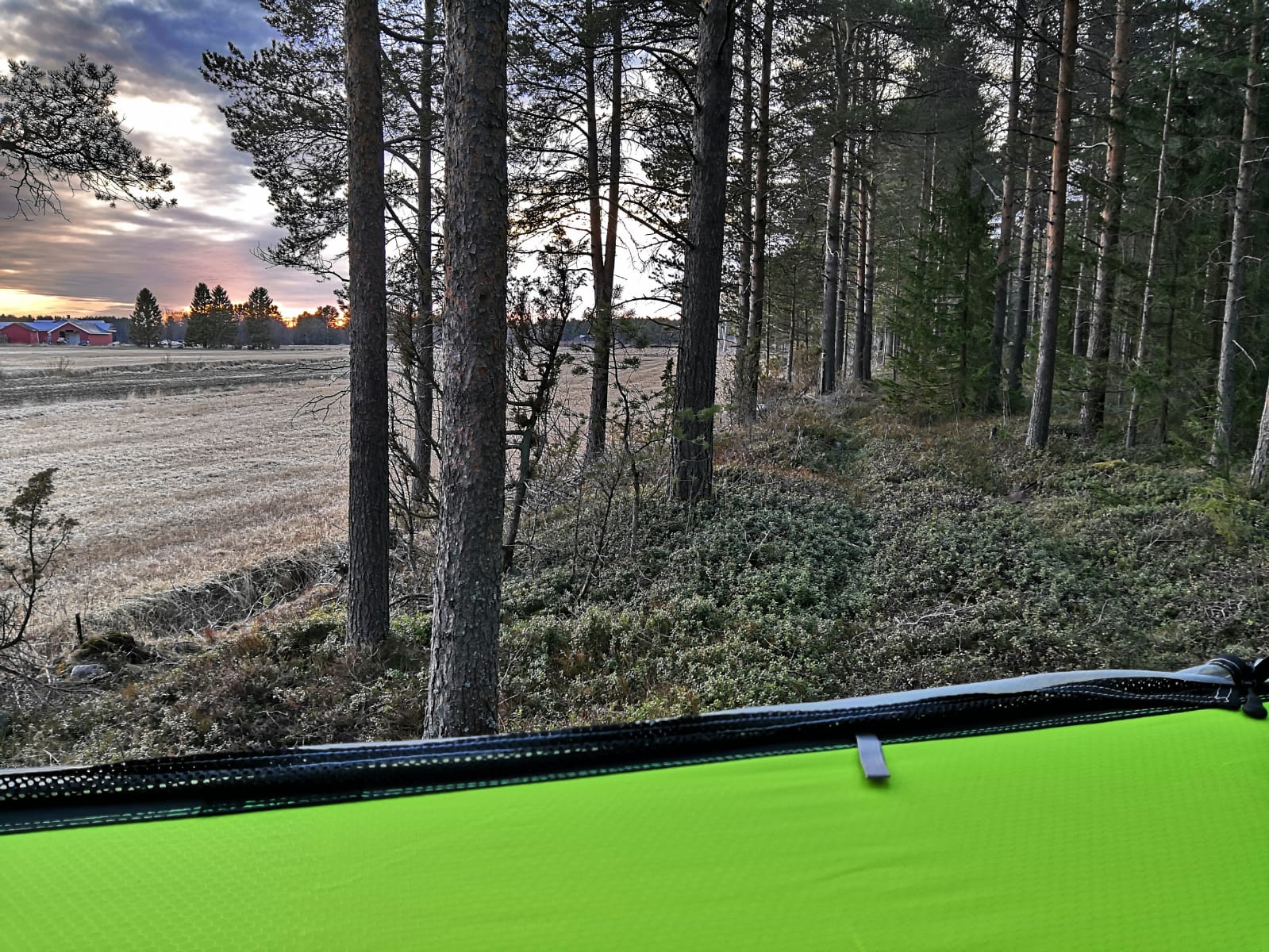 Tentsile-Majoitus